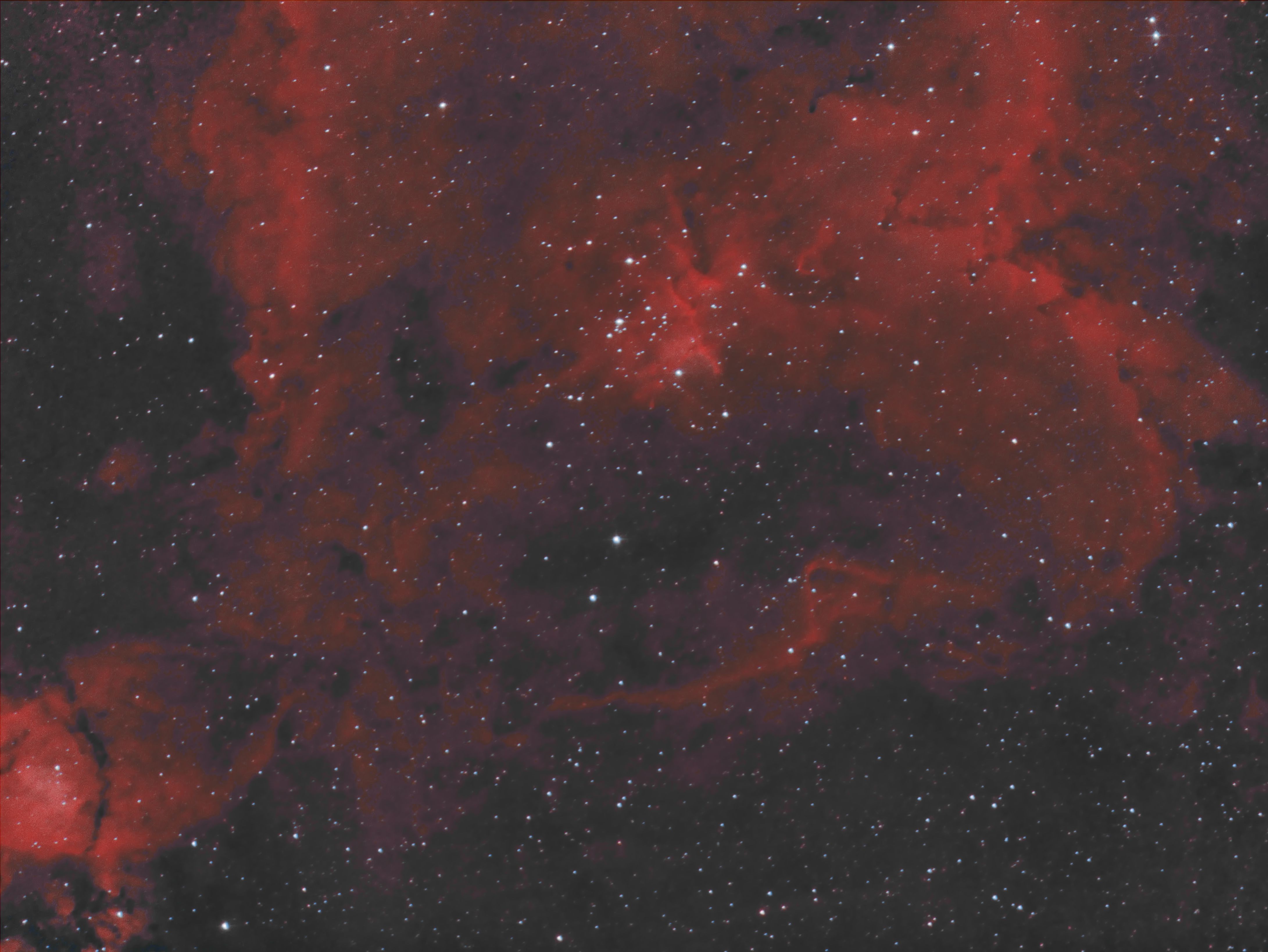 Heart Nebula in HOO