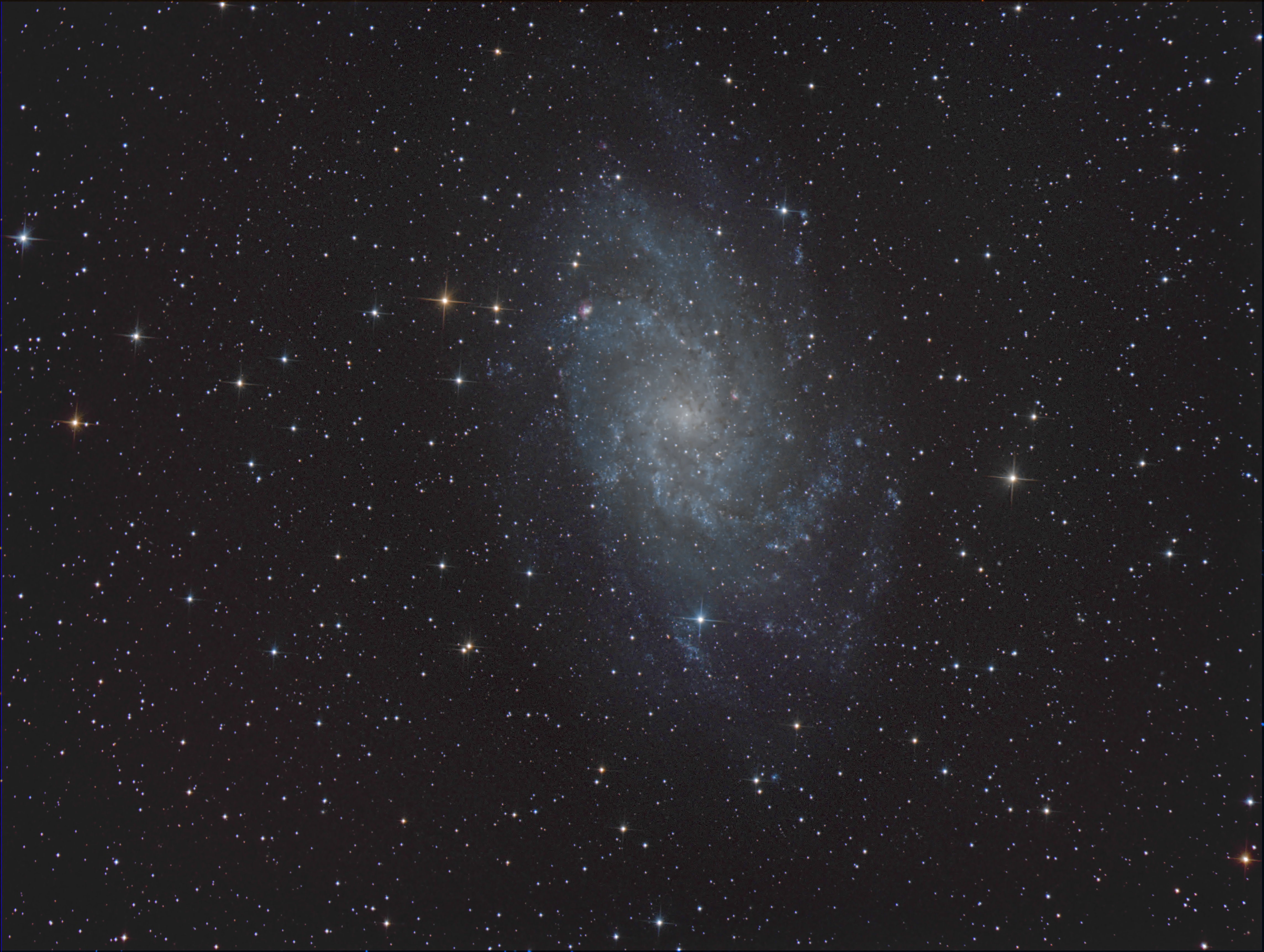 M33
