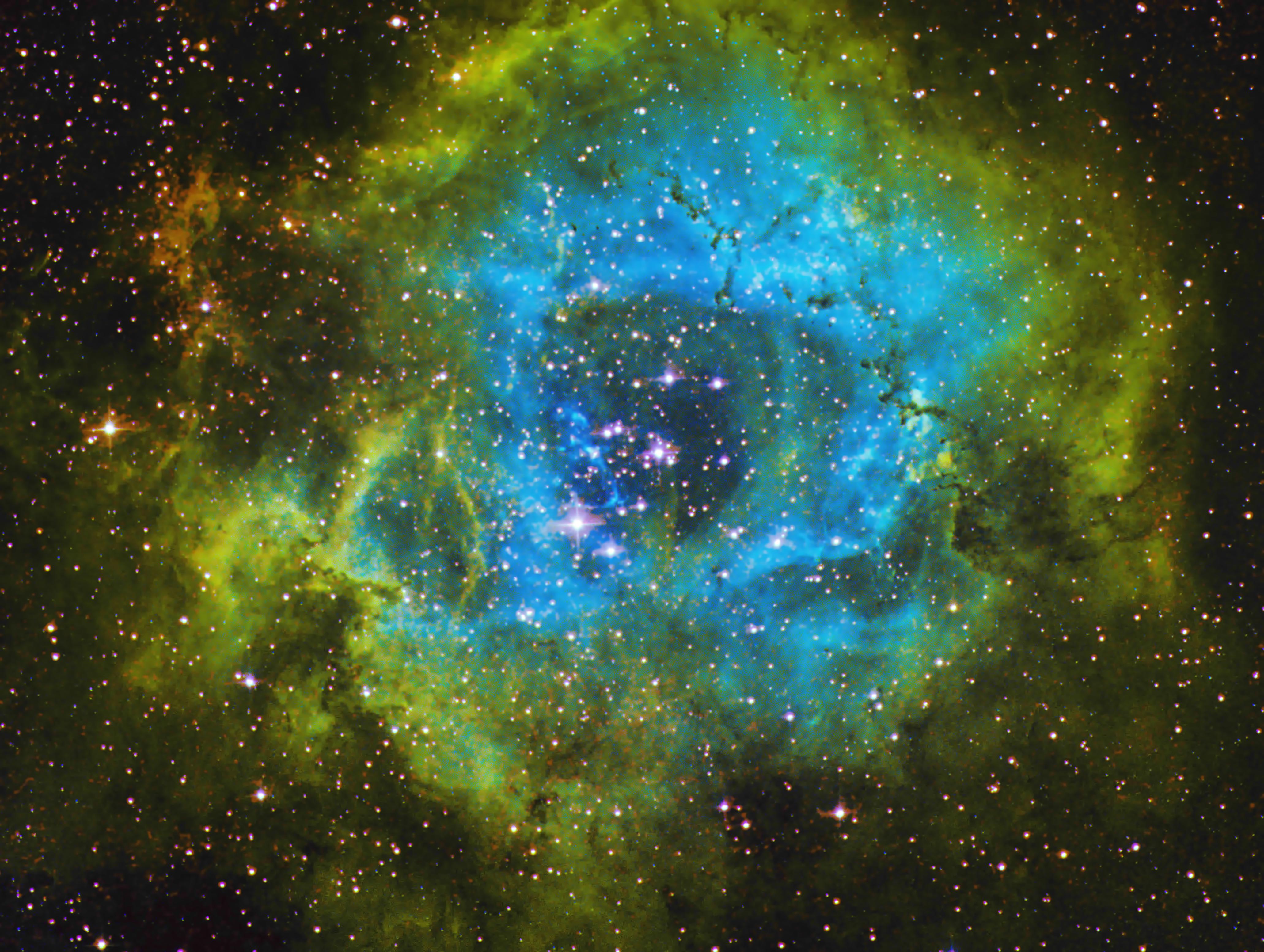 Rosette Nebula in the Hubble Palette